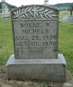 MICHELS, WAYNE W. - Jackson County, Iowa | WAYNE W. MICHELS 