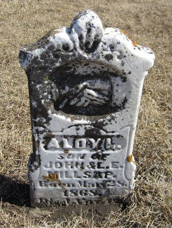 MILLSAP, ALOY L. - Jackson County, Iowa | ALOY L. MILLSAP 