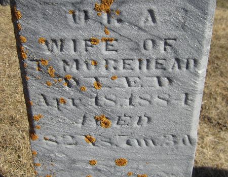 MOREHEAD, URA - Jackson County, Iowa | URA MOREHEAD 