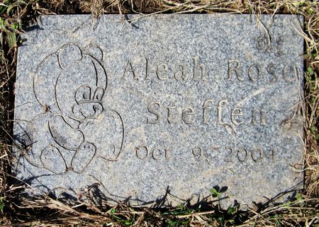 STEFFEN, ALEAH ROSE - Jackson County, Iowa | ALEAH ROSE STEFFEN 