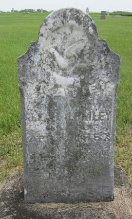 BAILEY, CATHERINE 'KATIE' - Jasper County, Iowa | CATHERINE 'KATIE' BAILEY 