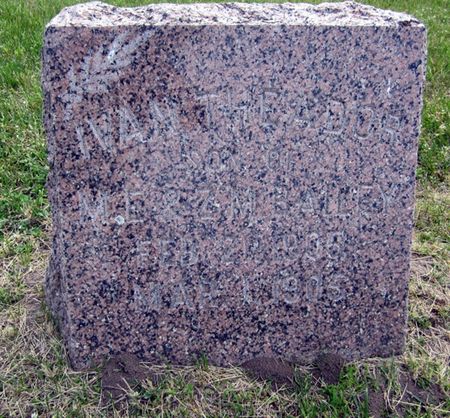 BAILEY, IVAN THEADOR - Jasper County, Iowa | IVAN THEADOR BAILEY 