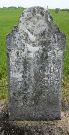 BAILEY, KATIE - Jasper County, Iowa | KATIE BAILEY 