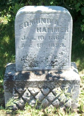 HAMMER, EDMUND A - Jasper County, Iowa | EDMUND A HAMMER 