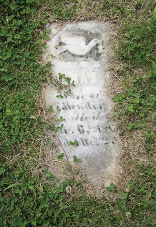 HENDERSON, SON - Jasper County, Iowa | SON HENDERSON 