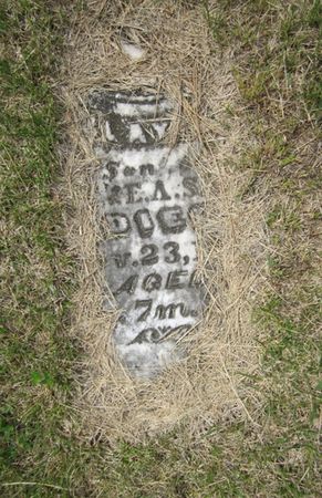 SAMS, SON - Jasper County, Iowa | SON SAMS 