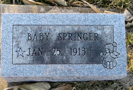 SPRINGER, BABY - Jasper County, Iowa | BABY SPRINGER 
