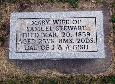 STEWART, MARY - Jasper County, Iowa | MARY STEWART 