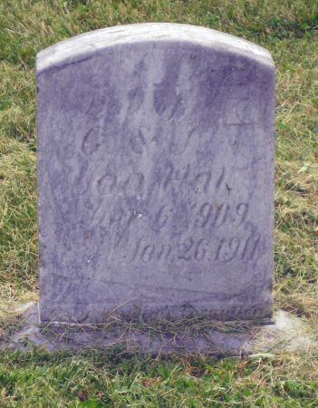 VAN HAL, JENNIE - Jasper County, Iowa | JENNIE VAN HAL 