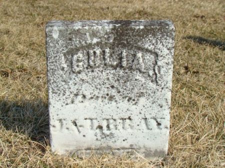 BRAY, GULIA - Jefferson County, Iowa | GULIA BRAY 