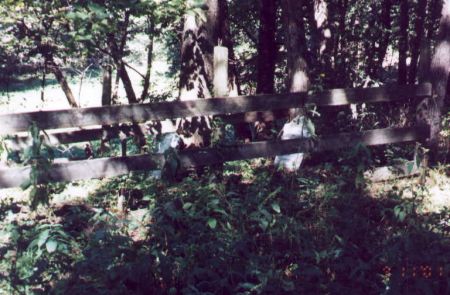 WESTENHAVER, CEMETERY - Jefferson County, Iowa | CEMETERY WESTENHAVER 