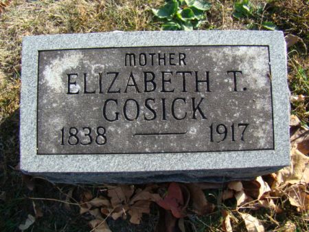MANLEY GOSICK, ELIZABETH T - Jefferson County, Iowa | ELIZABETH T MANLEY GOSICK 