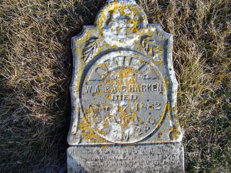 HARKEN, ARTIE B - Jefferson County, Iowa | ARTIE B HARKEN 