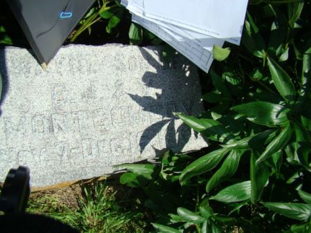 MONTGOMERY, WAYNE ELWIN - Jefferson County, Iowa | WAYNE ELWIN MONTGOMERY 