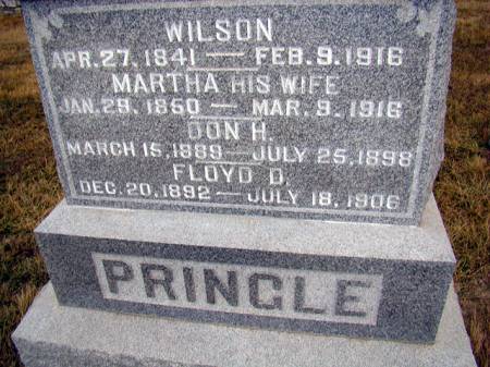 PRINGLE, LUTHER WILSON - Jefferson County, Iowa | LUTHER WILSON PRINGLE 