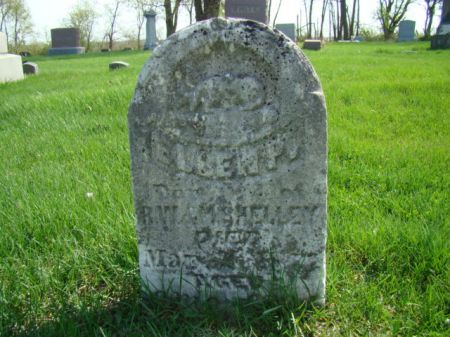 SHELLEY, ELLEN P - Jefferson County, Iowa | ELLEN P SHELLEY 