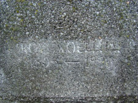 WOELLHAF, ROY E - Jefferson County, Iowa | ROY E WOELLHAF 