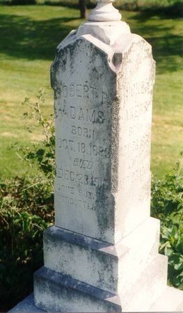 ADAMS, ROBERT P. - Johnson County, Iowa | ROBERT P. ADAMS 