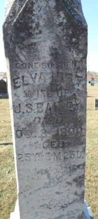 HIRT BAILEY, ELVA - Johnson County, Iowa | ELVA HIRT BAILEY 