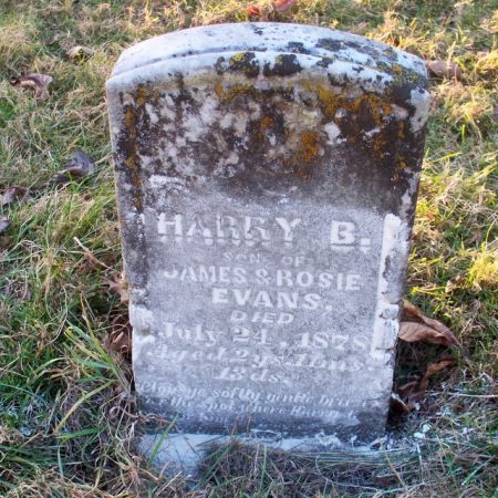 EVANS, HARRY B - Johnson County, Iowa | HARRY B EVANS 