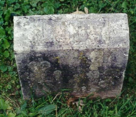 HEMSTED, LUCY ANNA MARIA - Johnson County, Iowa | LUCY ANNA MARIA HEMSTED 