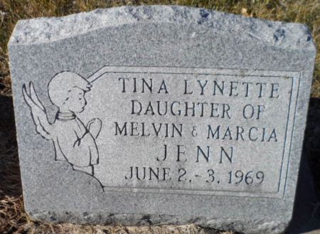 JENN, TINA LYNETTE - Johnson County, Iowa | TINA LYNETTE JENN 