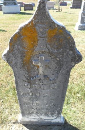 MAIER, JOHN - Johnson County, Iowa | JOHN MAIER 