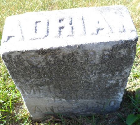 MELLECKER, ADRIAN - Johnson County, Iowa | ADRIAN MELLECKER 