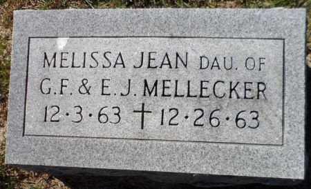 MELLECKER, MELISSA JEAN - Johnson County, Iowa | MELISSA JEAN MELLECKER 