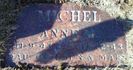 MICHEL, ANNE M. - Johnson County, Iowa | ANNE M. MICHEL 