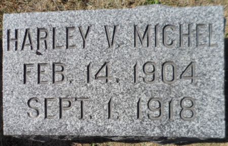 MICHEL, HARLEY V. - Johnson County, Iowa | HARLEY V. MICHEL 