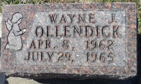 OLLENDICK, WAYNE J. - Johnson County, Iowa | WAYNE J. OLLENDICK 