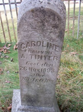 TINTER, CAROLINE - Johnson County, Iowa | CAROLINE TINTER 