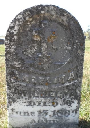 WILHELM, ANGELIKA - Johnson County, Iowa | ANGELIKA WILHELM 