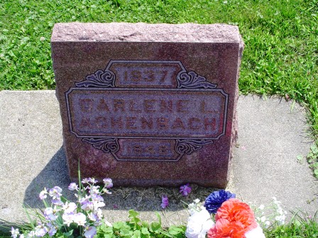 ACHENBACH, CARLENE L - Jones County, Iowa | CARLENE L ACHENBACH 