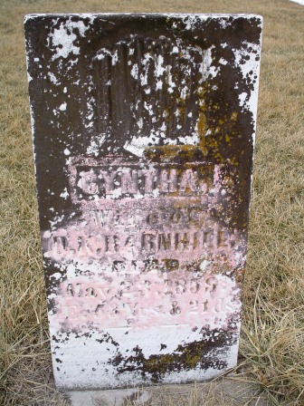 BARNHILL, CYNTHA J - Jones County, Iowa | CYNTHA J BARNHILL 