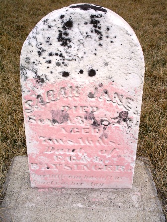 BAYSINGER, SARAH JANE - Jones County, Iowa | SARAH JANE BAYSINGER 