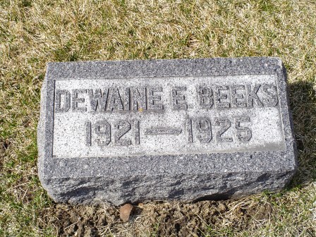 BEEKS, DEWAINE E - Jones County, Iowa | DEWAINE E BEEKS 