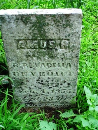 BENEDICT, AMUS R - Jones County, Iowa | AMUS R BENEDICT 