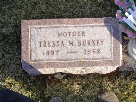 BURKEY, TRESSA M - Jones County, Iowa | TRESSA M BURKEY 