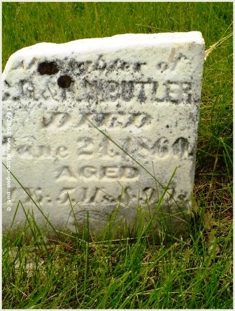 BUTLER, UNKNOWN - Jones County, Iowa | UNKNOWN BUTLER 