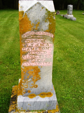 CAMERON, ALICE BERTHA - Jones County, Iowa | ALICE BERTHA CAMERON 