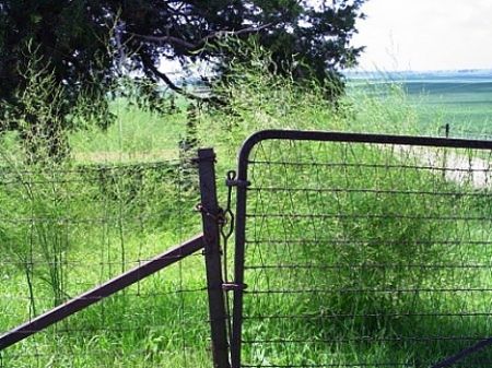 WALNUT GROVE, CEMETERY - Jones County, Iowa | CEMETERY WALNUT GROVE 