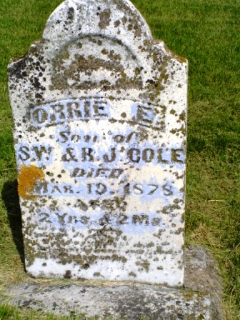 COLE, ORRIE E - Jones County, Iowa | ORRIE E COLE 