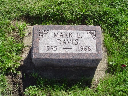 DAVIS, MARK E - Jones County, Iowa | MARK E DAVIS 