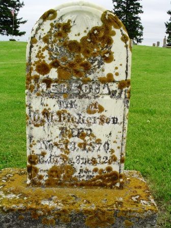 DICKERSON, REBECCA - Jones County, Iowa | REBECCA DICKERSON 