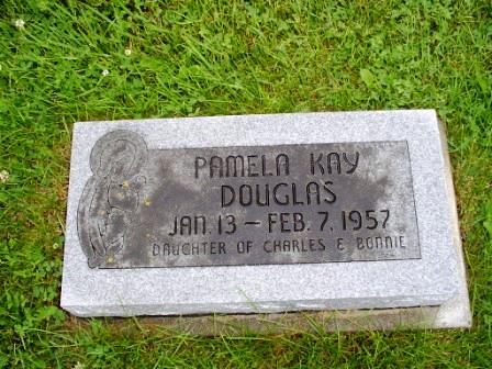 DOUGLAS, PAMELA KAY - Jones County, Iowa | PAMELA KAY DOUGLAS 