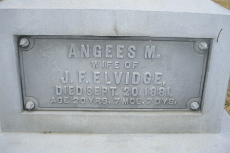 ELVIDGE, ANGEES M - Jones County, Iowa | ANGEES M ELVIDGE 