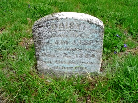 ESPY, DAISY - Jones County, Iowa | DAISY ESPY 