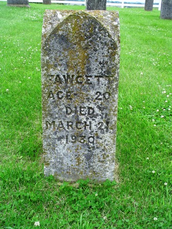 FAWCETT, (A.) - Jones County, Iowa | (A.) FAWCETT 